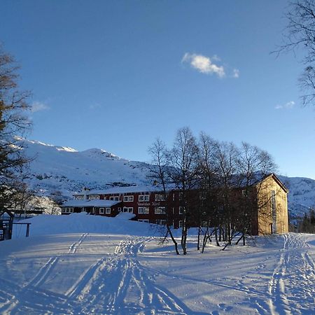 Vatnahalsen Hoyfjellshotell Myrdal Bagian luar foto