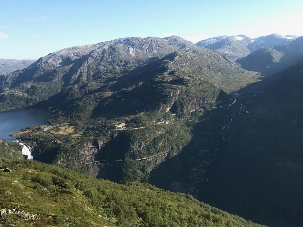 Vatnahalsen Hoyfjellshotell Myrdal Bagian luar foto