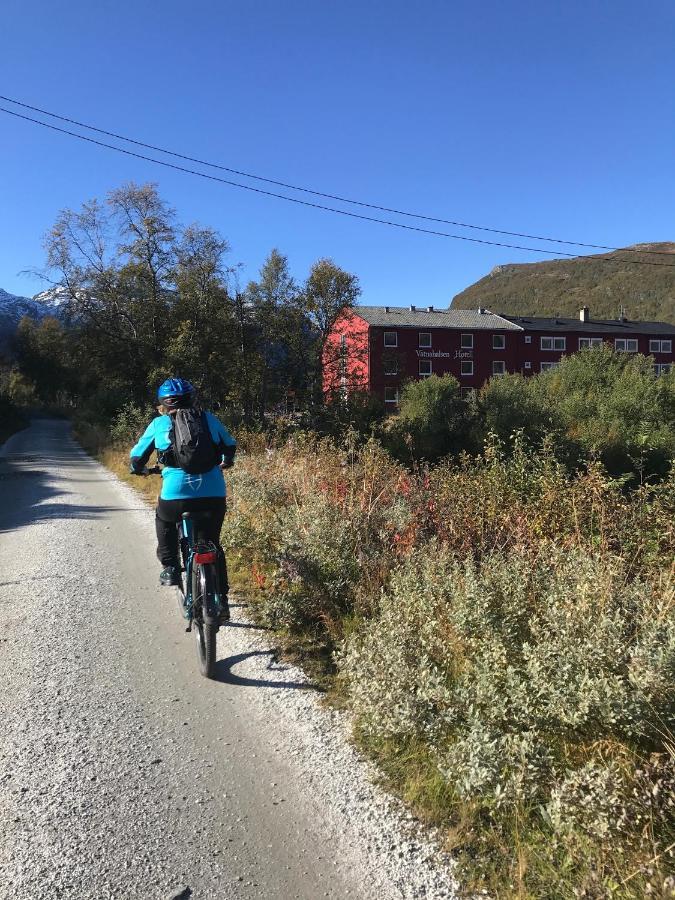 Vatnahalsen Hoyfjellshotell Myrdal Bagian luar foto