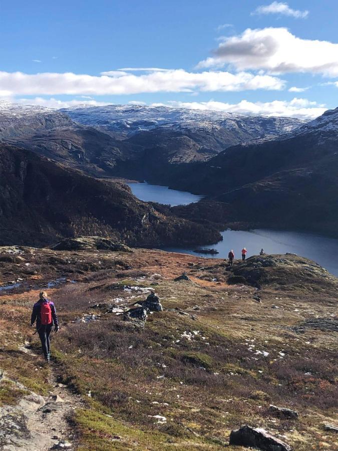 Vatnahalsen Hoyfjellshotell Myrdal Bagian luar foto