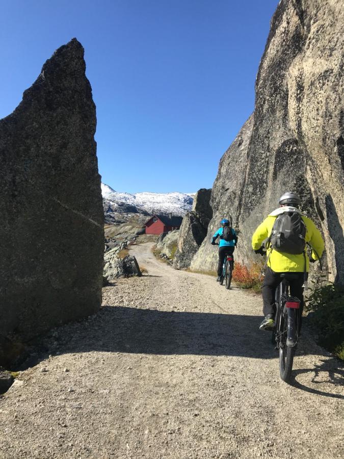 Vatnahalsen Hoyfjellshotell Myrdal Bagian luar foto
