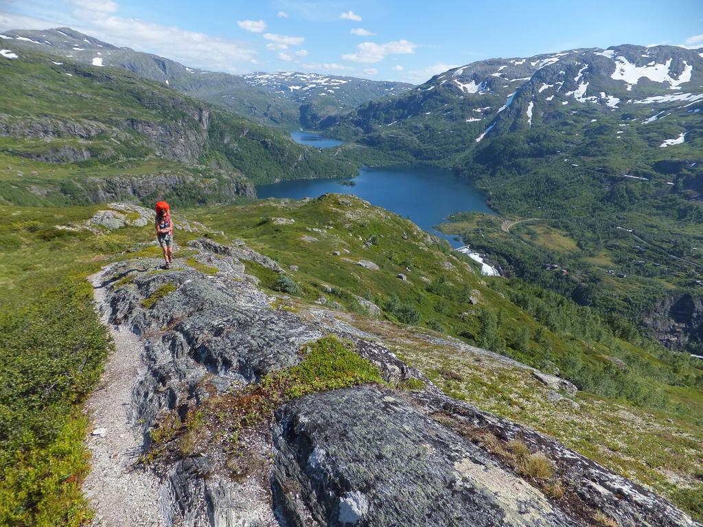 Vatnahalsen Hoyfjellshotell Myrdal Bagian luar foto