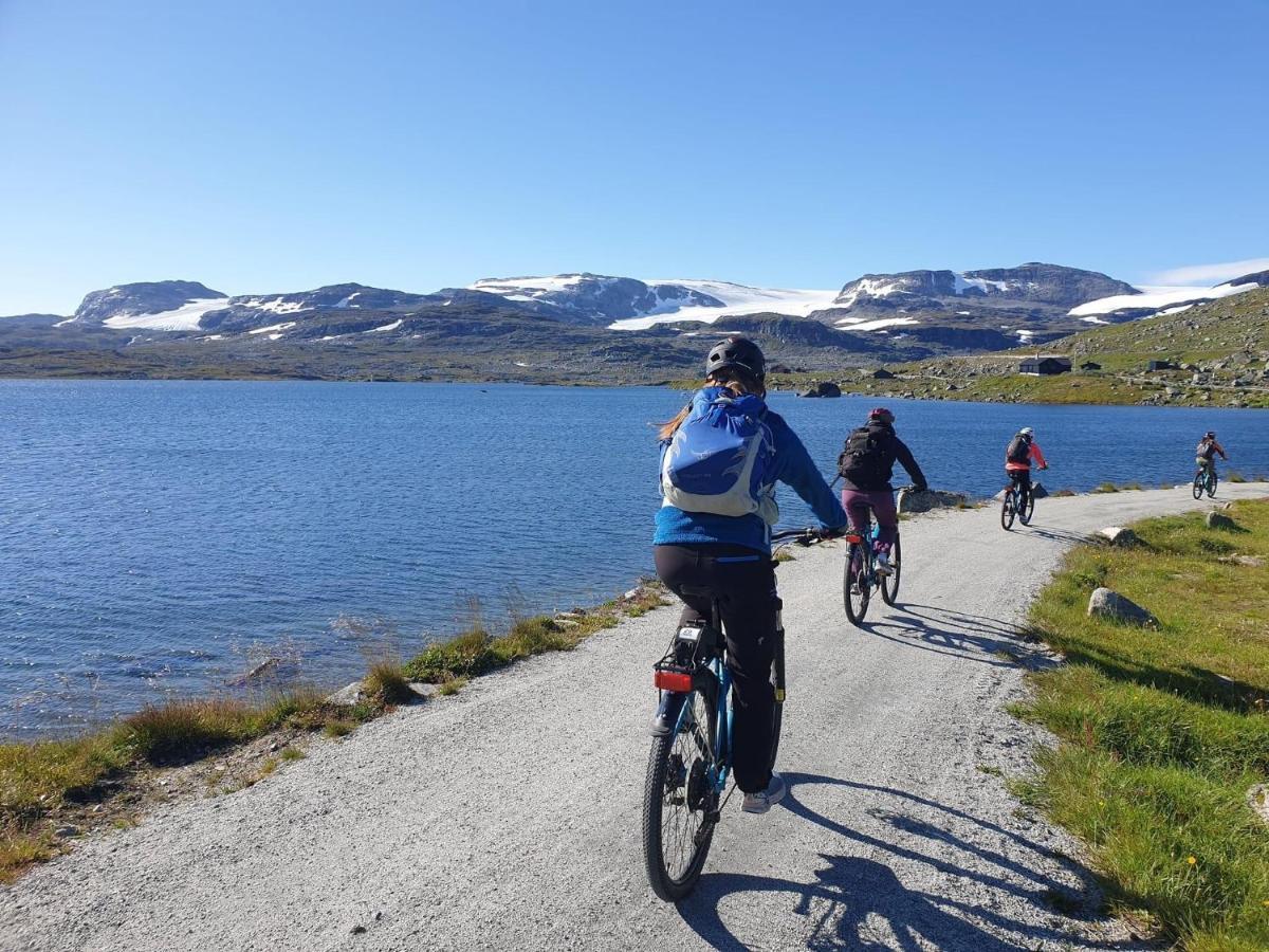 Vatnahalsen Hoyfjellshotell Myrdal Bagian luar foto