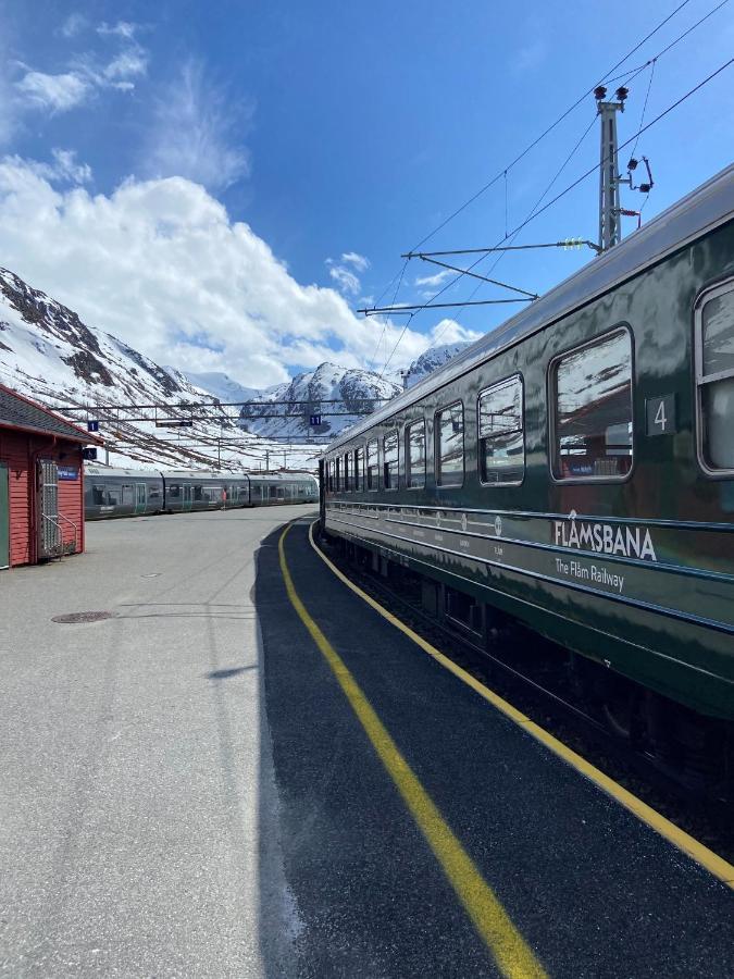 Vatnahalsen Hoyfjellshotell Myrdal Bagian luar foto