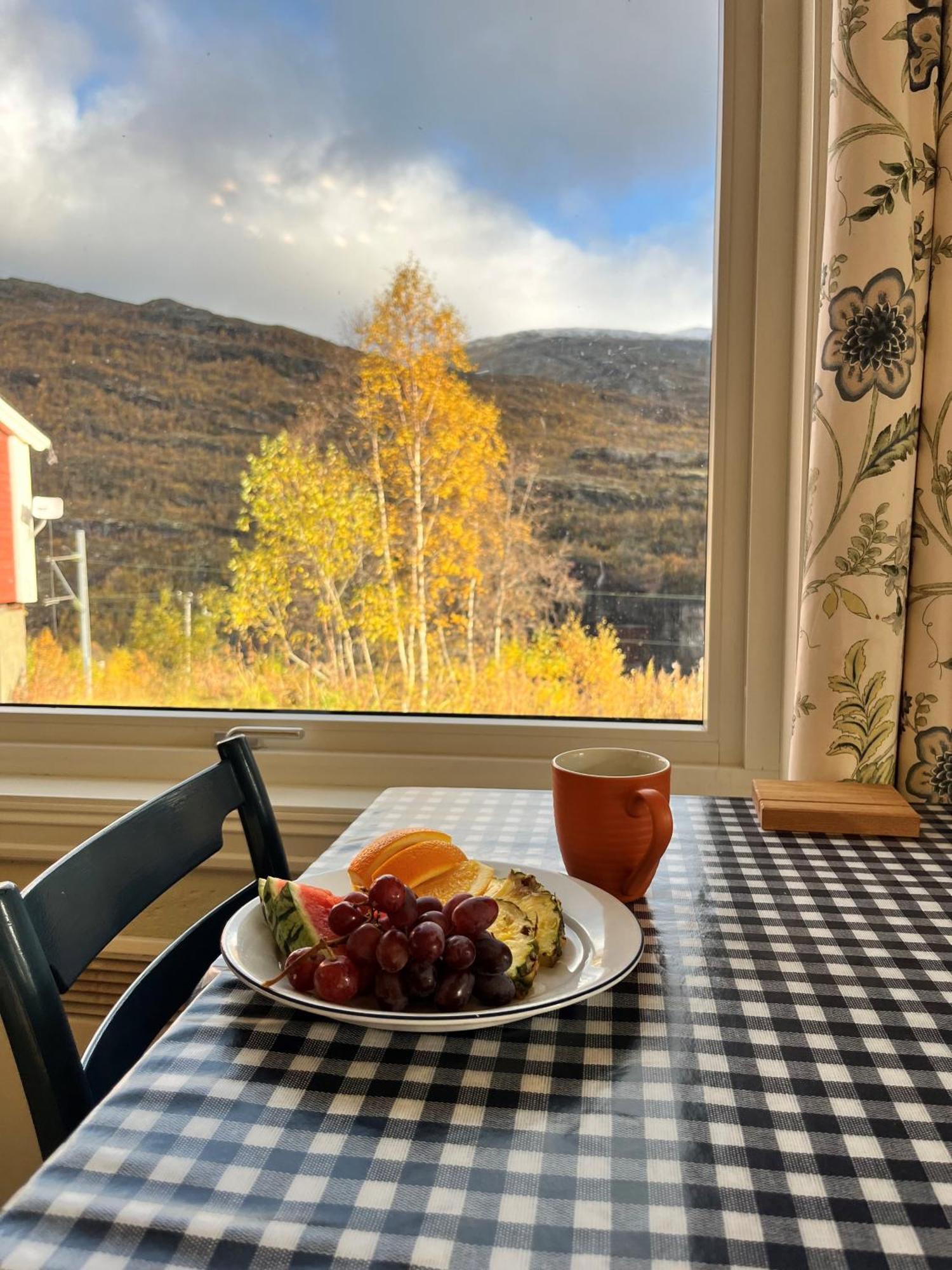 Vatnahalsen Hoyfjellshotell Myrdal Bagian luar foto