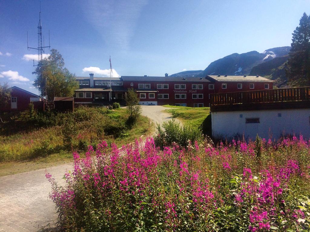 Vatnahalsen Hoyfjellshotell Myrdal Bagian luar foto