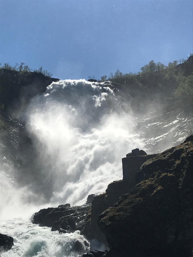 Vatnahalsen Hoyfjellshotell Myrdal Bagian luar foto